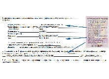 Образец заполнения договора